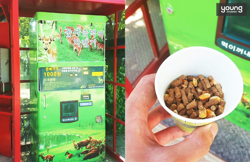왼:꽃사슴 먹이를 구입할 수 있는 자판기 / 오:자판기에서 나온 꽃사슴 먹이