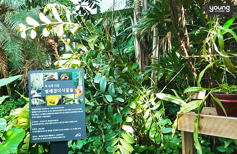 곤충식물원 1층에 위치한 벌레잡이 식물들