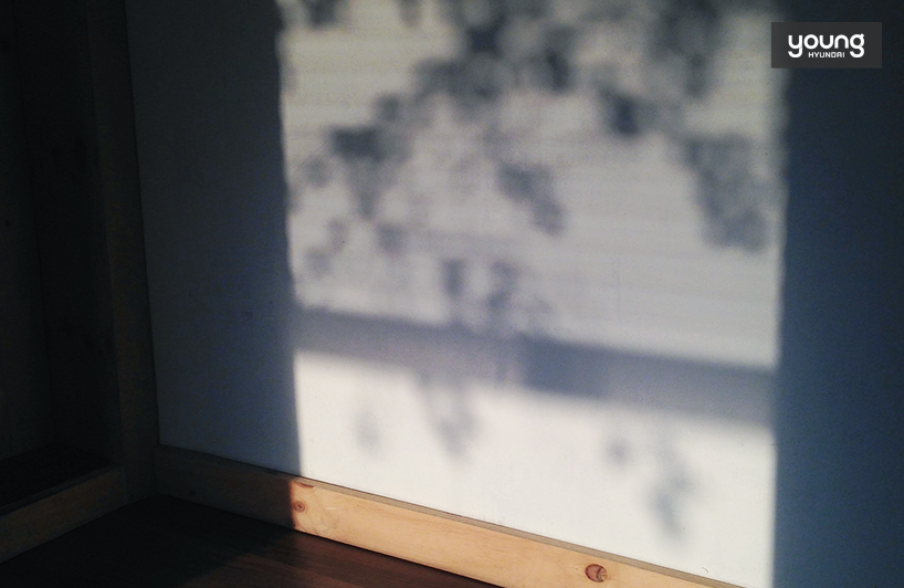 창 밖의 나무가 실내 벽면에 비친 그림자 사진