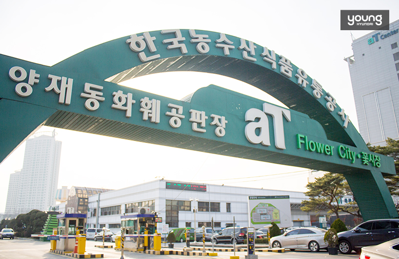 ▲ 대한민국 최대 규모의 꽃 시장, 양재 화훼공판장