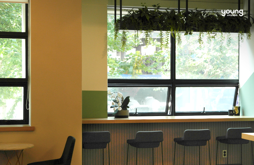 ▲ 창가 천장에 배치된 초록 식물들