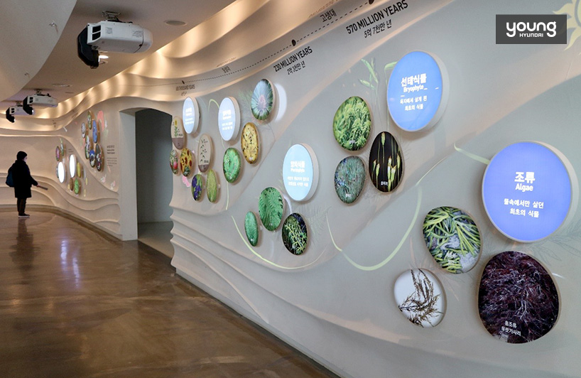 ▲식물문화센터 상설전시관에서 전시 중인 ‘식물의 역사’