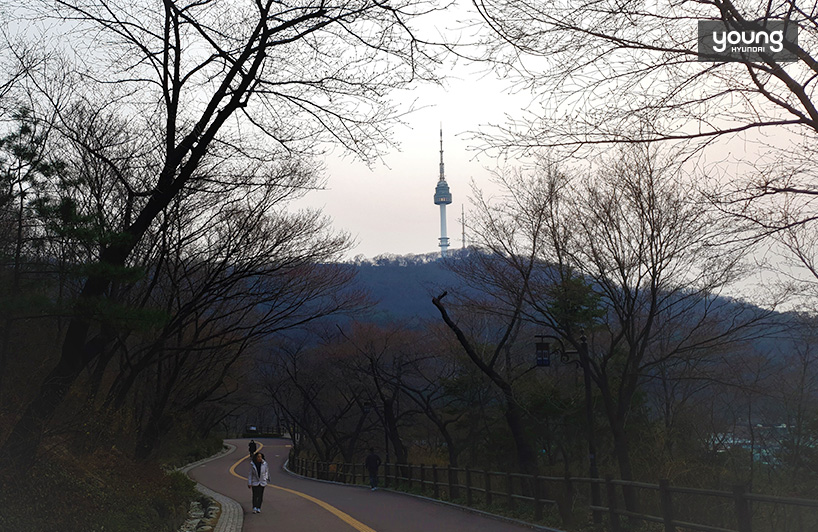 ▲ 남산 북측 산책로에서 본 남산타워의 모습