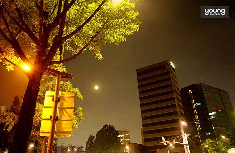 ▲ 가로등의 빛과 달빛이 어우러져 아름다운 서울의 밤 풍경